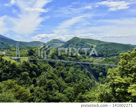 The Kokonoe Yume Suspension Bridge, the tallest pedestrian suspension bridge in Japan, spans the Narukogawa Gorge in Kokonoe Town, Oita Prefecture. The Kokonoe Yume Suspension Bridge, the tallest pedestrian suspension bridge in Japan, spans the Narukogawa Gorge in Kokonoe Town, Oita Prefecture. 141002271