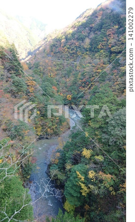 A valley covered in autumn leaves A valley covered in autumn leaves 141002279