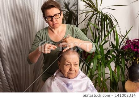 A woman is cutting her mother hair in the kitchen while they enjoy time together. The setting features plants and flowers, creating a lively atmosphere for this home activity A woman is cutting her mother hair in the kitchen while they enjoy time together. The setting features plants and flowers, creating a lively atmosphere for this home activity 141002314