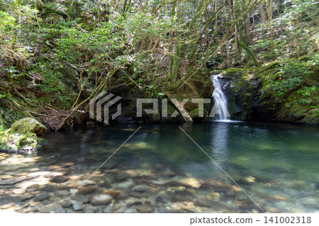 Nagasaki Prefectural Forest: The clear stream and dynamic waterfall of Oshidori-buchi (a valley landscape in fresh greenery) Nagasaki Prefectural Forest: The clear stream and dynamic waterfall of Oshidori-buchi (a valley landscape in fresh greenery) 141002318