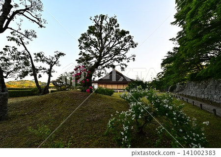 The main hall of Sasayama Castle The main hall of Sasayama Castle 141002383