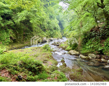 宮崎縣高千穗町天安須賀原遍布堆積的石頭和鳥居。 宮崎縣高千穗町天安須賀原遍布堆積的石頭和鳥居。 141002469