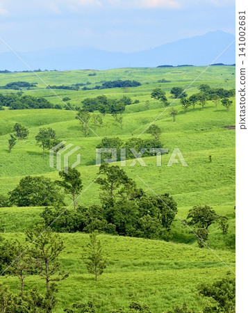 A landscape of massive rock formations and vast grasslands standing on Oshitoishi Hill in Minamioguni Town, Kumamoto Prefecture. A landscape of massive rock formations and vast grasslands standing on Oshitoishi Hill in Minamioguni Town, Kumamoto Prefecture. 141002681