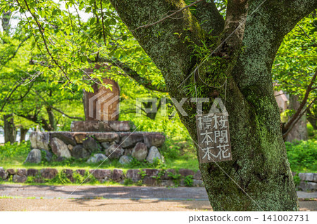 滋賀縣大津市瀨澤城跡公園 滋賀縣大津市瀨澤城跡公園 141002731
