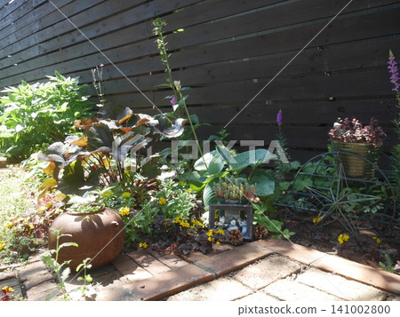 Bright garden with various plants 141002800