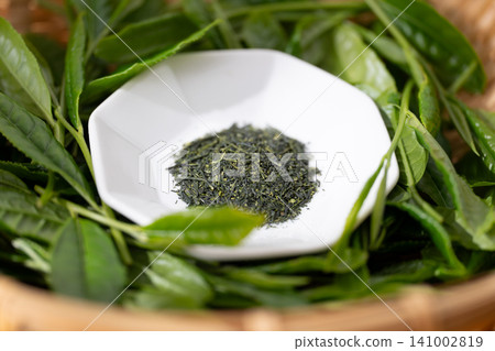 新茶 新茶 141002819