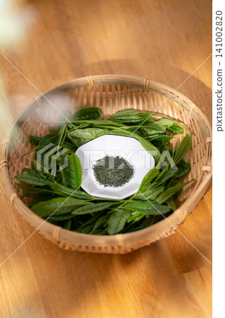 New tea leaves New tea leaves 141002820