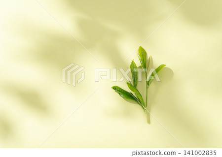 Tea leaves background material Tea leaves background material 141002835