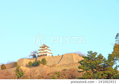 香川縣丸龜市丸龜城風景 香川縣丸龜市丸龜城風景 141002931