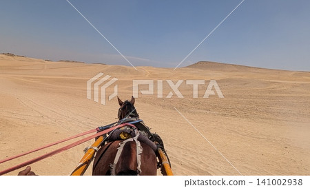 Sand dunes of the Sahara Desert photographed from a horse-drawn carriage 141002938