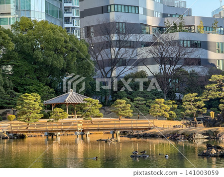 鬱鬱蔥蔥的日式花園,園內有池塘和涼亭,周圍環繞著城市的摩天大樓。 鬱鬱蔥蔥的日式花園,園內有池塘和涼亭,周圍環繞著城市的摩天大樓。 141003059