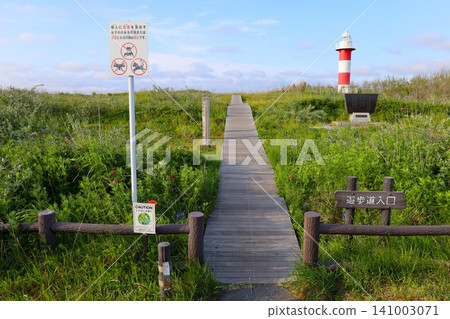 北海道的春天,北海道的六月,石漾灣,石∆市的濱名洲公園和札幌市,濱名洲開始開花的六月。 北海道的春天,北海道的六月,石漾灣,石∆市的濱名洲公園和札幌市,濱名洲開始開花的六月。 141003071