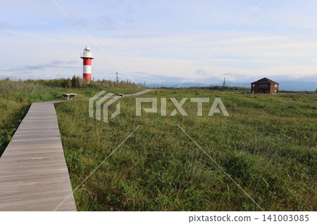 北海道的春天,北海道的六月,石漾灣,石∆市的濱名洲公園和札幌市,濱名洲開始開花的六月。 北海道的春天,北海道的六月,石漾灣,石∆市的濱名洲公園和札幌市,濱名洲開始開花的六月。 141003085