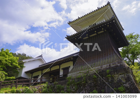 岐阜縣惠那市岩村城遺址 岐阜縣惠那市岩村城遺址 141003099