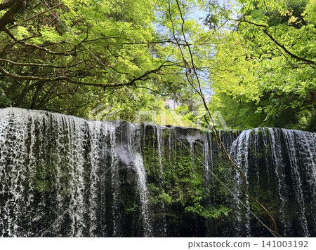 熊本縣南小國町鍋瀧瀑佈景色優美,四周綠樹環繞,水流從後方傾瀉而下。 熊本縣南小國町鍋瀧瀑佈景色優美,四周綠樹環繞,水流從後方傾瀉而下。 141003192