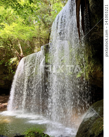 The scenery of Nabegataki waterfall in Minamioguni Town, Kumamoto Prefecture, surrounded by lush green trees and flowing from behind. 141003221