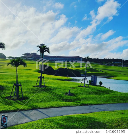 Tropical-style golf course 141003295