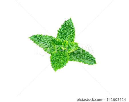 Mint Leaves on white. Grren Mint Peppermint. 141003314
