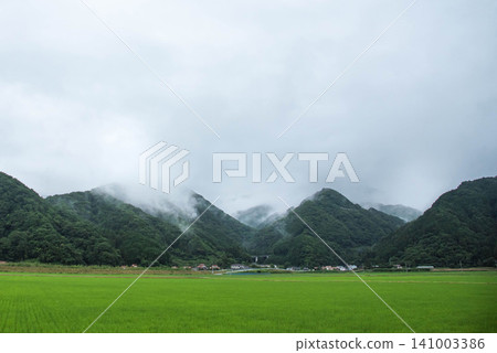 日本鄉村和籠罩在薄霧中的鄉村景色 日本鄉村和籠罩在薄霧中的鄉村景色 141003386
