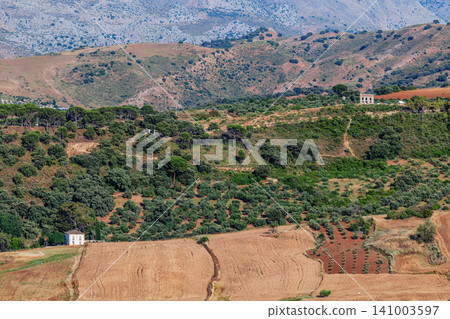 Landscape near the city of Ronda, Andalusia, Spain Landscape near the city of Ronda, Andalusia, Spain 141003597
