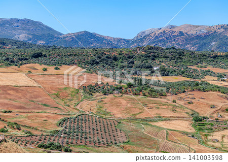 Landscape near the city of Ronda, Andalusia, Spain Landscape near the city of Ronda, Andalusia, Spain 141003598