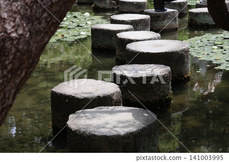 帶有踏腳石的池塘景觀 帶有踏腳石的池塘景觀 141003995
