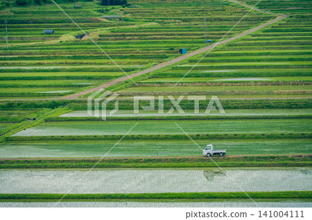 Rice paddies after planting and a light truck [Nagano Prefecture] 141004111