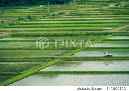 Rice paddies after planting and a light truck [Nagano Prefecture] 141004112
