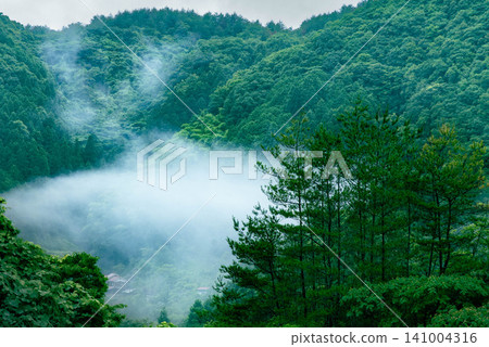 雨後,鬱鬱蔥蔥的鄉村景色籠罩在薄霧之中。 雨後,鬱鬱蔥蔥的鄉村景色籠罩在薄霧之中。 141004316