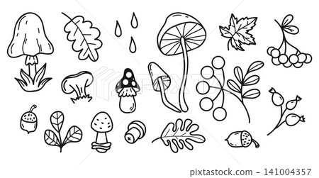 Outline Autumn Forest Doodle Set. Oak Leaves, Mushrooms, Fly agaric, Rowan, Acorns, Berries and Raindrops Clipart. Element Isolated Line Art Hand Drawn. Vector Illustration. 141004357