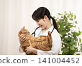 A female doctor examines a tabby cat. 141004452