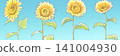 Watercolor-style blue sky and hand-drawn sunflowers, lined up. 141004930