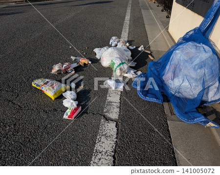 Garbage collection point scattered by crows 141005072