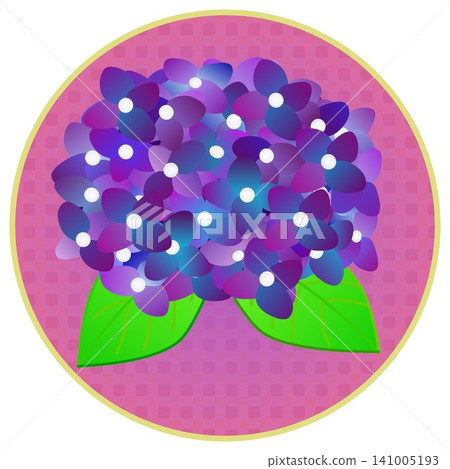 以圓形為背景的深紫色繡球花插圖。 以圓形為背景的深紫色繡球花插圖。 141005193