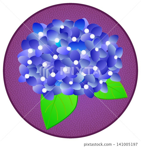 圓形背景的藍色繡球花插圖 141005197