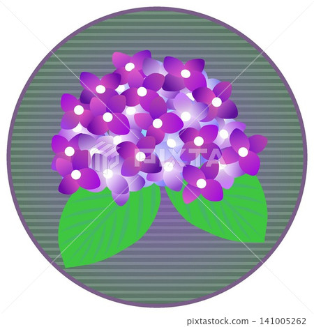紫色繡球花插圖,背景為圓形 紫色繡球花插圖,背景為圓形 141005262