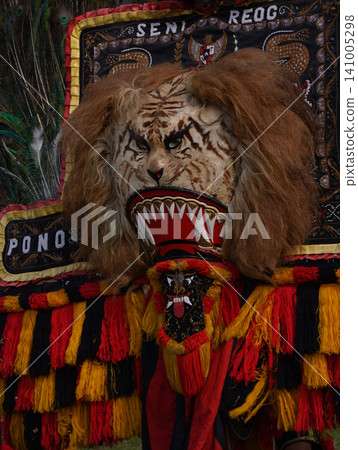 SURABAYA, INDONESIA - JULY 5, 2026: A performer wears the heavy Singo Barong tiger and peacock feather mask with 'Singo Sekar Budoyo' text during a traditional Reog Ponorogo cultural dance performance SURABAYA, INDONESIA - JULY 5, 2026: A performer wears the heavy Singo Barong tiger and peacock feather mask with 'Singo Sekar Budoyo' text during a traditional Reog Ponorogo cultural dance performance 141005298