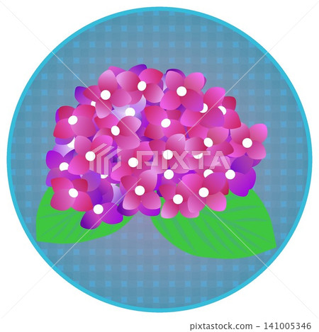 An illustration of a reddish-purple hydrangea with a circular background. An illustration of a reddish-purple hydrangea with a circular background. 141005346