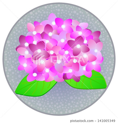 圓形背景上的粉紅色繡球花插圖 141005349
