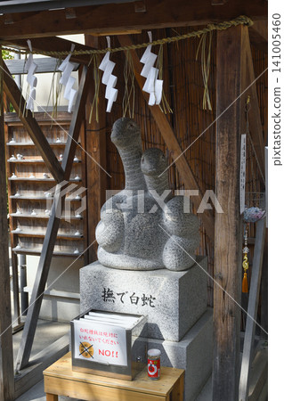 Hebikubo Shrine - Petting the White Snake (Shinagawa Ward, Tokyo) Hebikubo Shrine - Petting the White Snake (Shinagawa Ward, Tokyo) 141005460