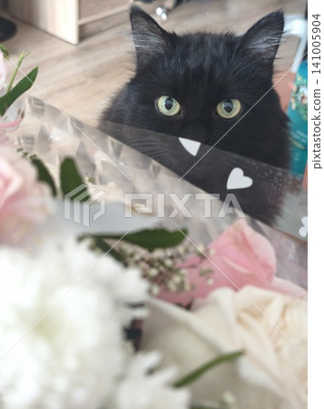 Fluffy black cat looking out from behind a beautiful bouquet of roses. 141005904