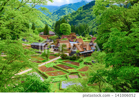 A clear early summer day offers a panoramic view of the lush green Ainokura Gassho-zukuri village in Gokayama from a viewpoint. A clear early summer day offers a panoramic view of the lush green Ainokura Gassho-zukuri village in Gokayama from a viewpoint. 141006052