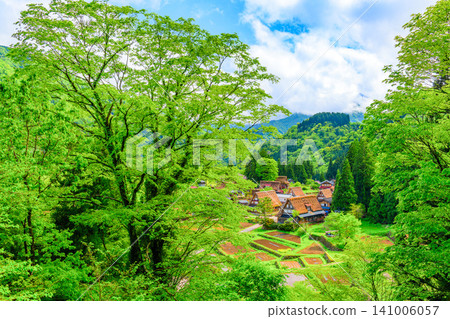 A clear early summer day offers a panoramic view of the lush green Ainokura Gassho-zukuri village in Gokayama from a viewpoint. A clear early summer day offers a panoramic view of the lush green Ainokura Gassho-zukuri village in Gokayama from a viewpoint. 141006057