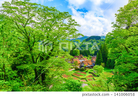 A clear early summer day offers a panoramic view of the lush green Ainokura Gassho-zukuri village in Gokayama from a viewpoint. A clear early summer day offers a panoramic view of the lush green Ainokura Gassho-zukuri village in Gokayama from a viewpoint. 141006058