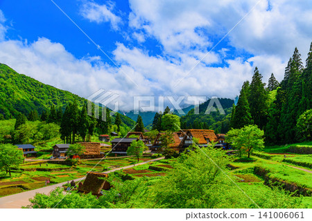 A clear early summer day offers a panoramic view of the lush green Ainokura Gassho-zukuri village in Gokayama from a viewpoint. A clear early summer day offers a panoramic view of the lush green Ainokura Gassho-zukuri village in Gokayama from a viewpoint. 141006061