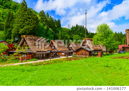 A beautiful scene of rapeseed fields and thatched-roof houses stretching out in front of the Gokayama Gassho-zukuri village on a clear early summer day. 141006177