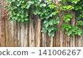 Aged Wooden Fence Background with Climbing Green Vine 141006267
