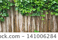 Textured Wooden Fence with Lush Green Hop Vine 141006284