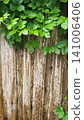Vertical Rustic Wooden Fence with Green Leaves and Snails 141006406