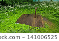 Old Vintage Water Pump on Wooden Platform in Garden 141006525